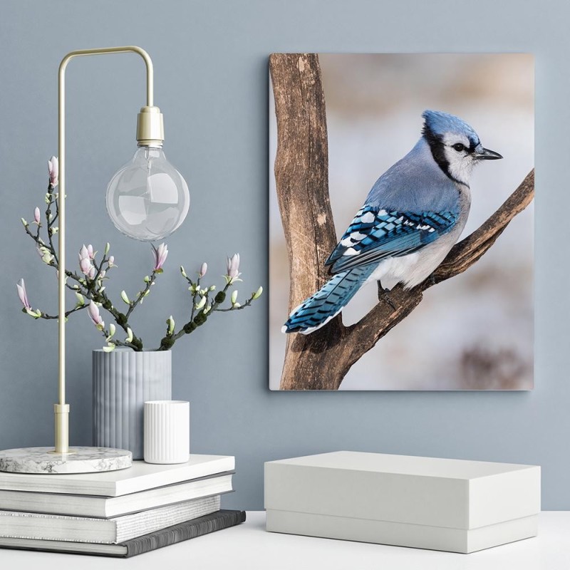 Impresión de fotografias en polipropileno