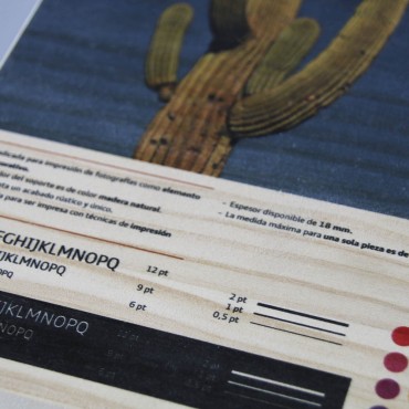 Impresión digital en madera de pino | Hispaprint