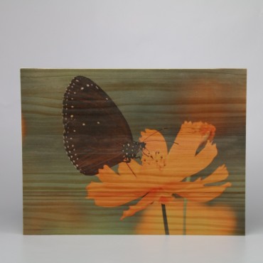 Impresión digital en madera de pino | Hispaprint