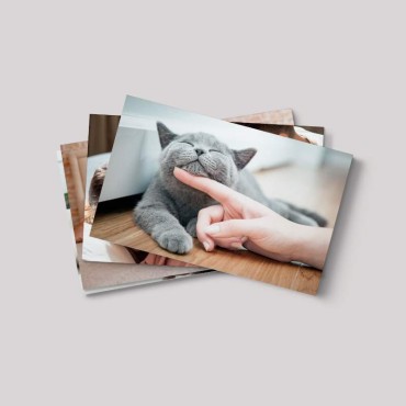 Packs de fotos miniatura | Desde 10,66€