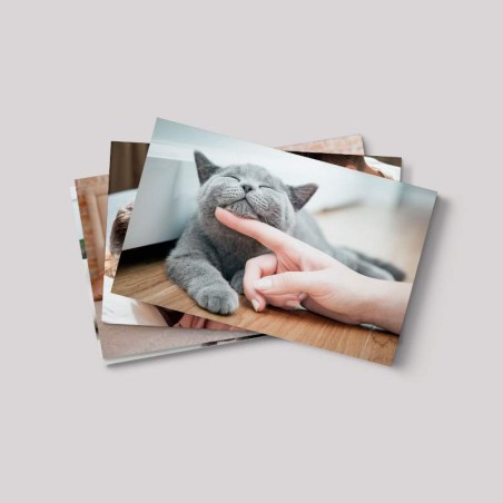 Packs de fotos miniatura | Desde 10,66€