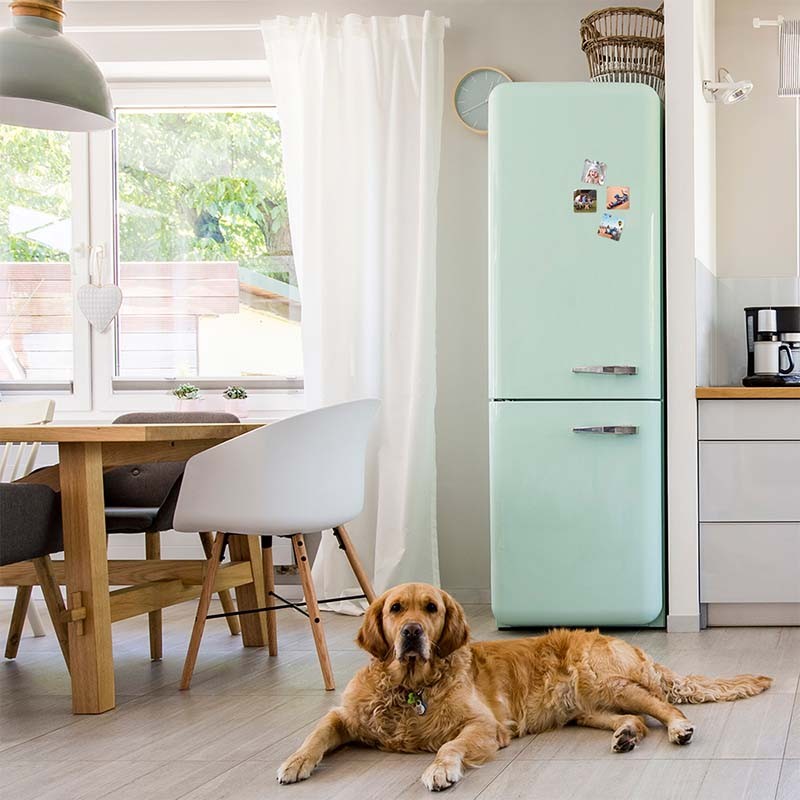 Impresión en vinilo imantado | Hispaprint