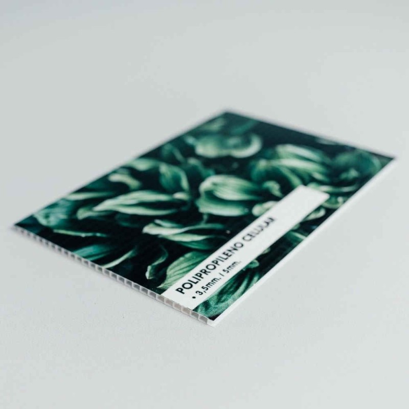 Impresión en polipropileno alveolar o celular