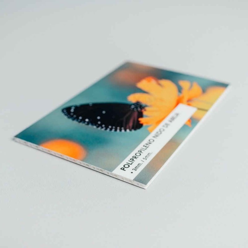 Impresión en polipropileno alveolar o celular