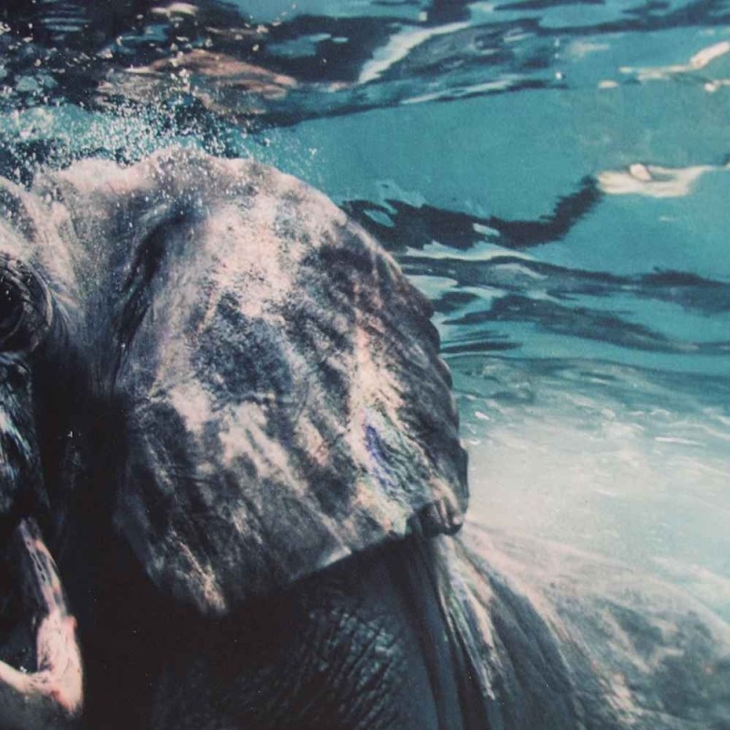 Impresión de fotografias en polipropileno